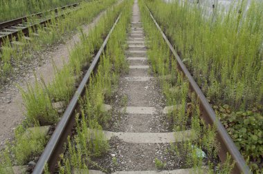 Tuğla daire çiftlik üç güneşli windows ile