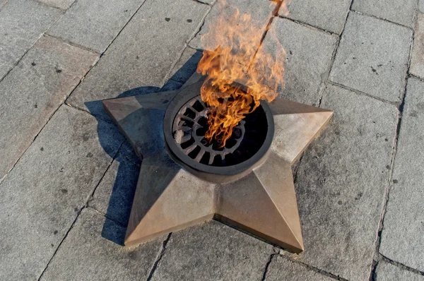 Tuğla daire çiftlik üç güneşli windows ile