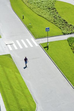  çimlere ve çimenler