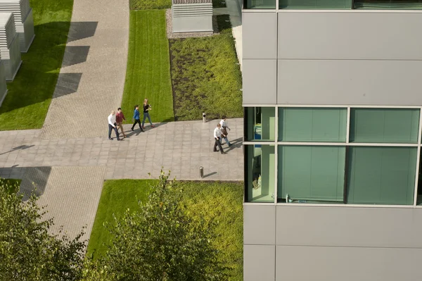 Kanal Krylatskoye içinde kürek.