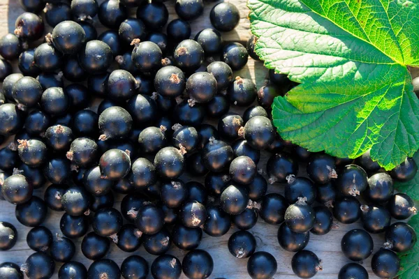 Ahşap bank üzerinde siyah akımları