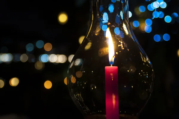 Batı diamondback çıngıraklı yılan