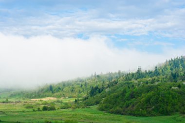 Orman sis. Dev bulut. Karpatlar, Ukrayna.