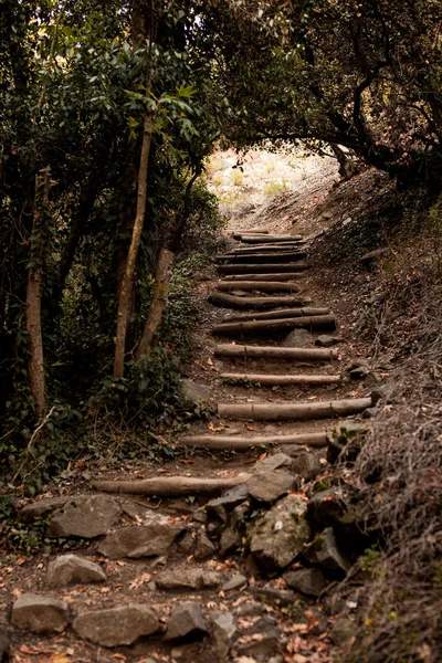 Escaleras altas en la montaña — Foto de Stock
