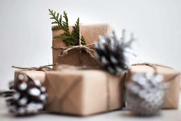 Mazı (bitki) ve koniler ile mevcut kutuları