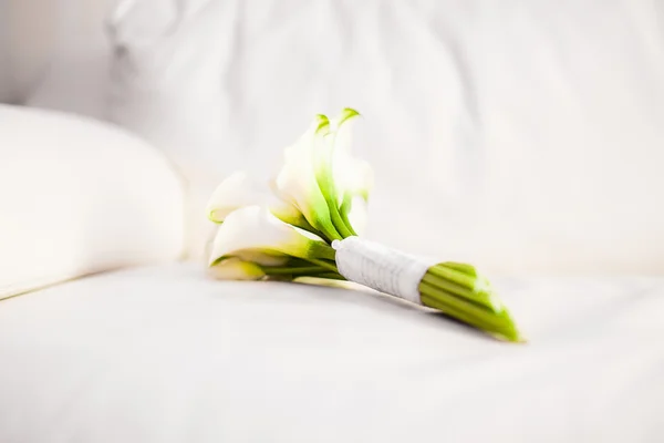 Beautiful white lily