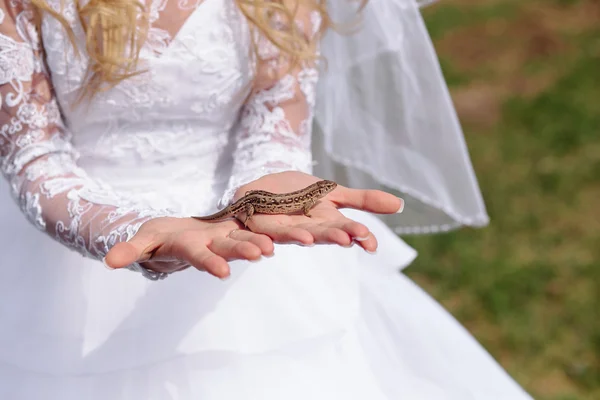 Gelin holding kertenkele