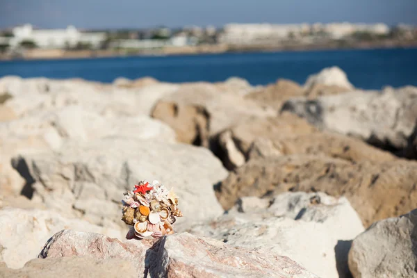 Ramo de conchas marinas en la costa rocosa — Foto de Stock