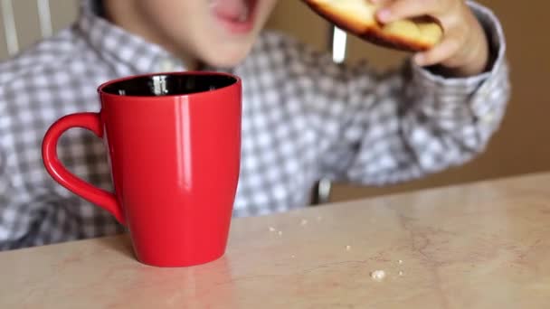 Rapaz a comer um pedaço de pão — Vídeo de Stock