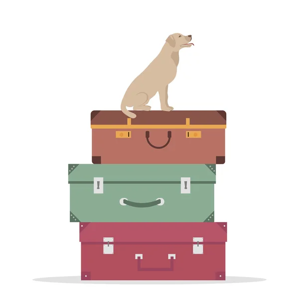 Utazási és a kutya — Stock Vector