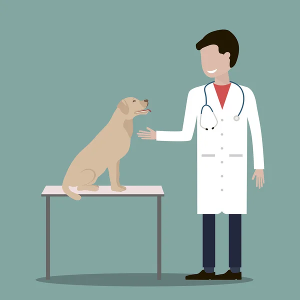 Médico veterinario masculino — Vector de stock
