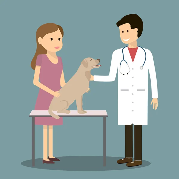 Donna, cane e veterinario — Vettoriale Stock