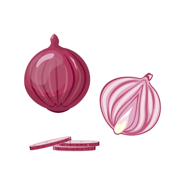 Conjunto de cebola vermelha de lâmpada inteira. Metade, fatia e anéis de cebola roxa. — Vetor de Stock