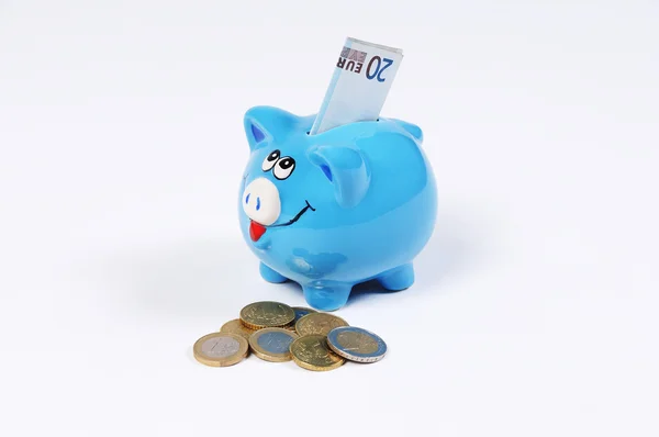 Mavi kumbara 20 Euro fatura ve Euro para ile