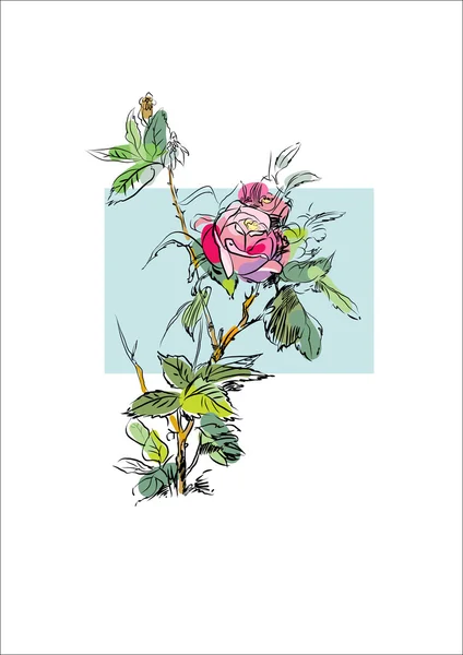 Φυτό λουλούδι τριαντάφυλλο — Διανυσματικό Αρχείο