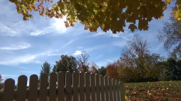 Paisagem de outono com árvores coloridas amarelas e vermelhas e cercas de piquete contra a luz solar — Vídeo de Stock