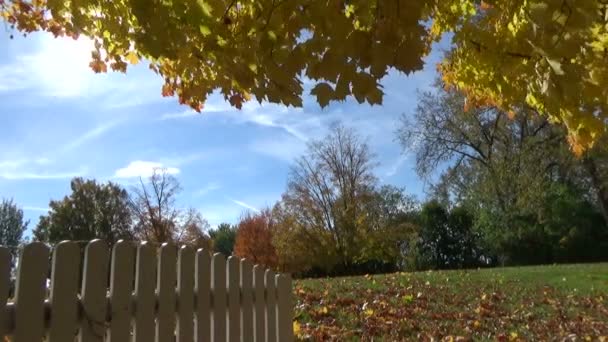 Autumn landscape with yellow and red colorful trees and picket fences against the sunlight — Stock Video