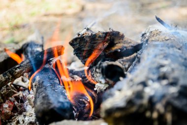 yanan odun. şenlik ateşi. ateş, kül.