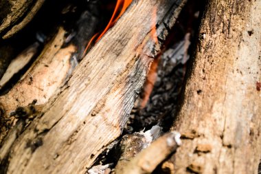 yanan odun. şenlik ateşi. ateş, kül.