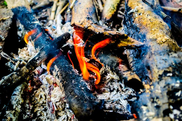 yanan odun. şenlik ateşi. ateş, kül.