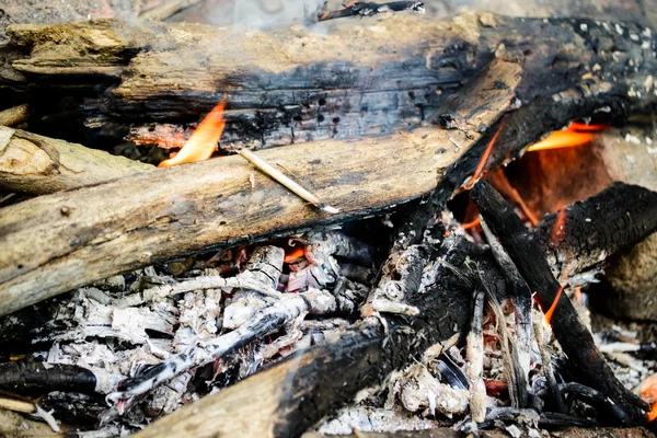 yanan odun. şenlik ateşi. ateş, kül.