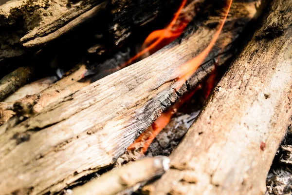 yanan odun. şenlik ateşi. ateş, kül.