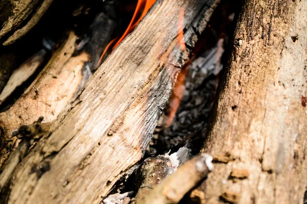 yanan odun. şenlik ateşi. ateş, kül.