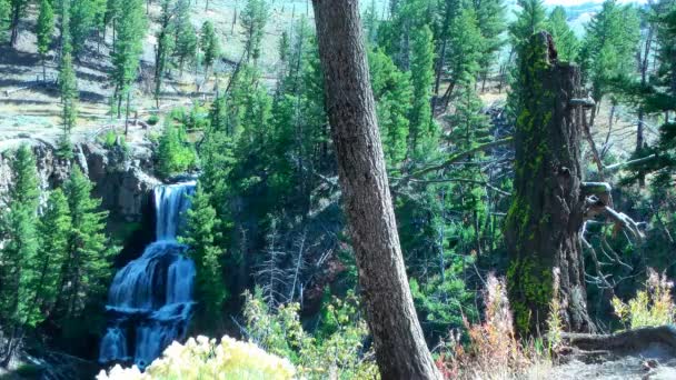 Seamless loop - Beautiful large, 3-tiered waterfall in Yellowstone National Park, Wyoming, USA. — Stock Video
