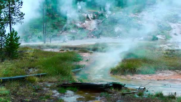 Nahtlose Schleife - geothermische heiße Quellen im Regen im Yellowstone Nationalpark, Wyoming, USA. Regentropfen im bunten Wasserbecken. Stock-Filmmaterial