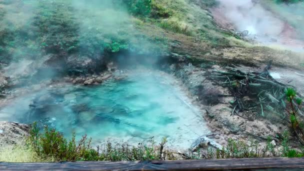 Seamless loop - Geothermal Hot Springs plus Geyser let off steam in Yellowstone National Park, Wyoming, USA. — Stock Video