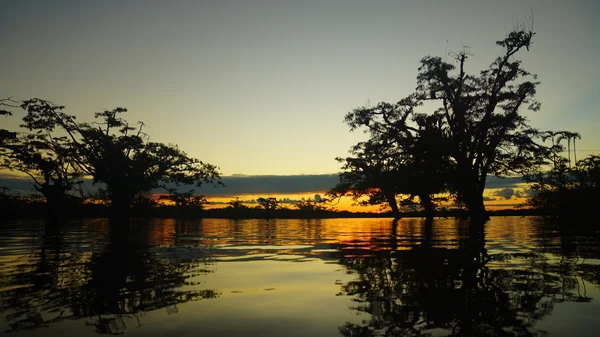 Puesta de sol en laguna de Cuyabeno — Foto de Stock