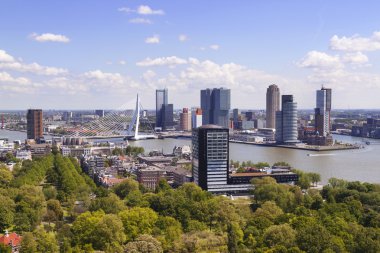 Rotterdam, Hollanda. Güneşli şehir manzarası.
