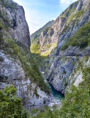 Tara Nehri, yeşil su ile çalışan çukur Kanyonu. UNESCO, Karadağ.