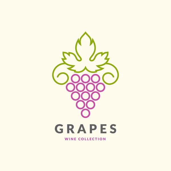 Logotipo de uvas conceito . —  Vetores de Stock