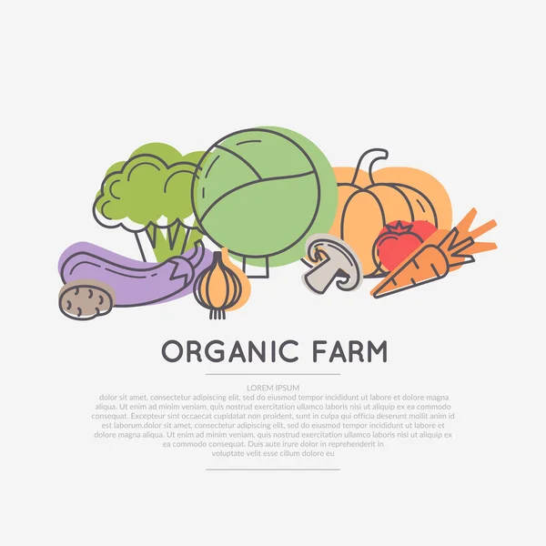 Organic food poster. — Stock Vector