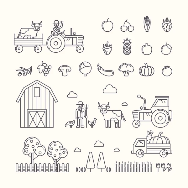 Vector illustration of organic farm. — Stock Vector