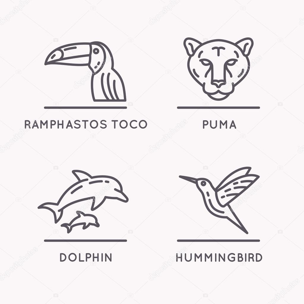 Brazilian culture linear icons set. Animals Of South America. Vector illustration of Toucan, Puma, Hummingbird and Dolphin.