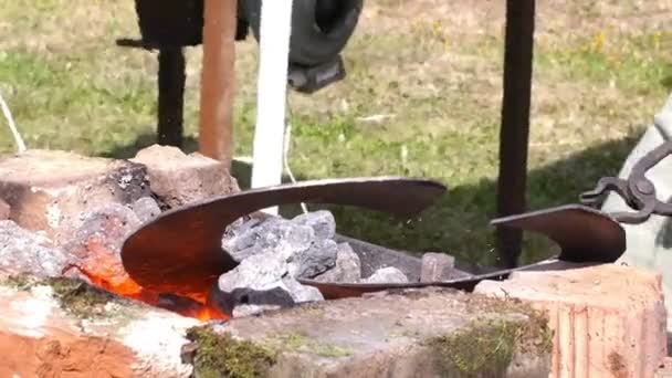 Un forgeron modèle une barre de fer avec un marteau après l'avoir prise de la forge de feu . — Video