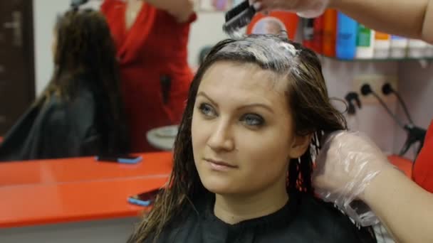 Professional female hairdresser dyeing female customer at beauty salon — Stock Video