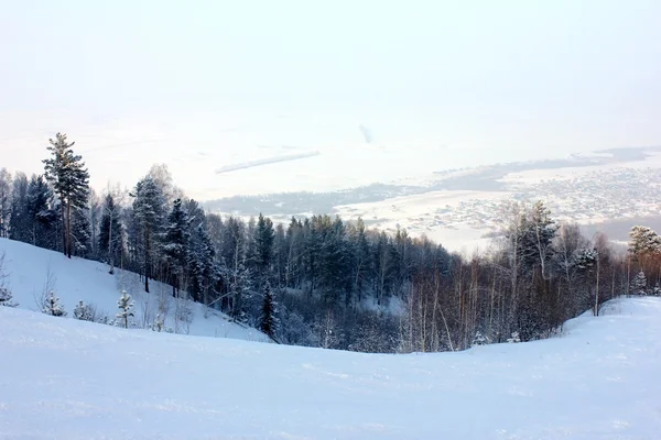 Natura invernale Taiga siberiana — Foto Stock