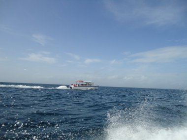 Dominik Cumhuriyeti kıyılarında Atlantik okyanusunda bir gemi