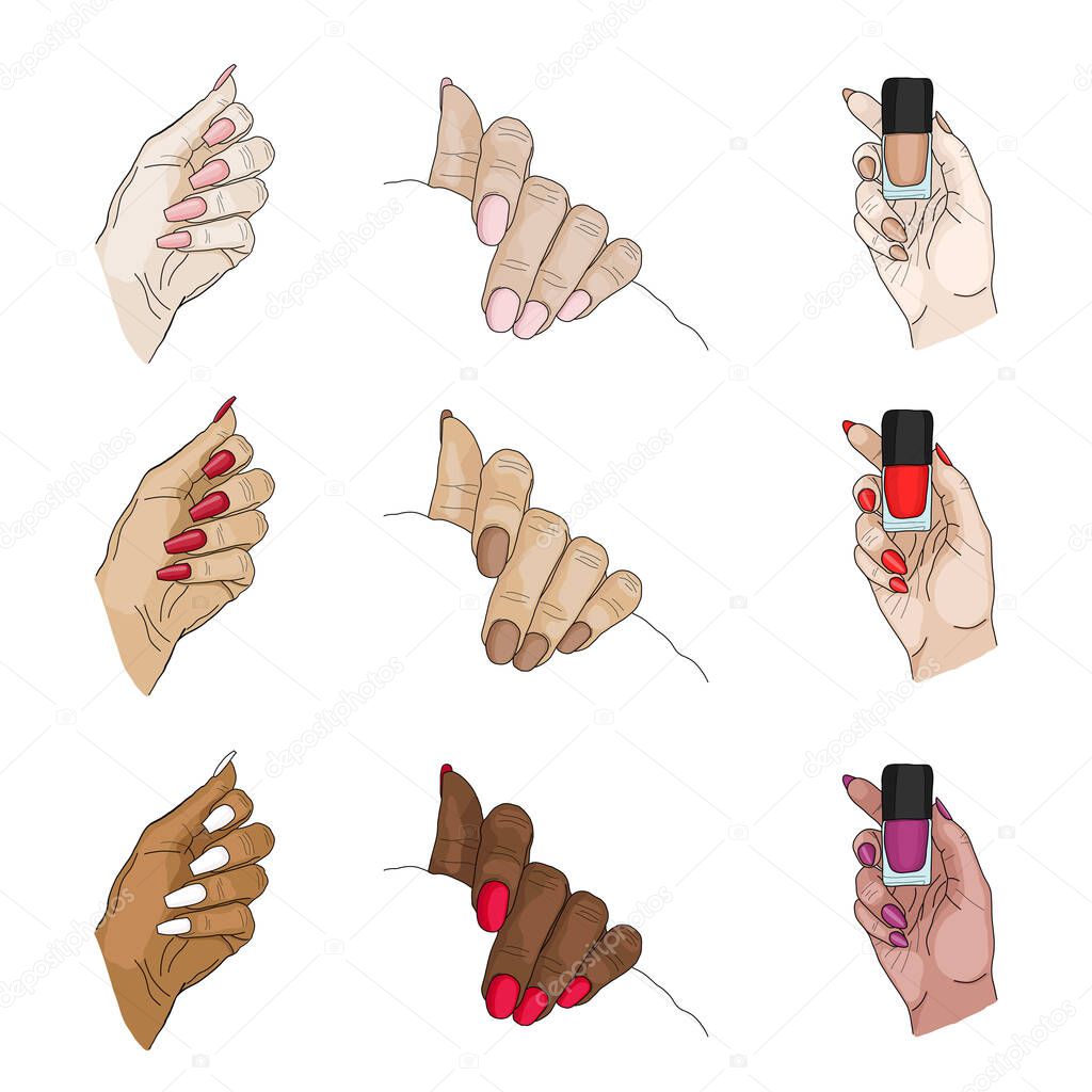 Hand drawn collection of types of hand with long and short coffin oval stiletto shape nails