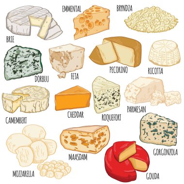 Elle çizilmiş renkli peynir. Brie, Emmental, Bryndza, Dorblu, Feta, Pecorino, Ricotta, Camembert, Cheddar, Roquefort, Parmesan, Mozzarella, Maasdam, Gouda, Gorgonzola