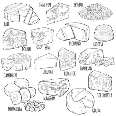 Elle çizilmiş peynir. Brie, Emmental, Bryndza, Dorblu, Feta, Pecorino, Ricotta, Camembert, Cheddar, Roquefort, Parmesan, Mozzarella, Maasdam, Gouda, Gorgonzola