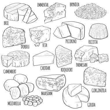 Hand drawn types of cheese. Brie, Emmental, Bryndza, Dorblu, Feta, Pecorino, Ricotta, Camembert, Cheddar, Roquefort, Parmesan, Mozzarella, Maasdam, Gouda, Gorgonzola clipart