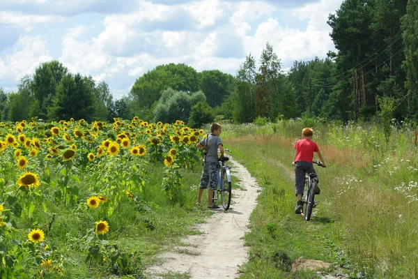 güneşli bir gün, yaz.
