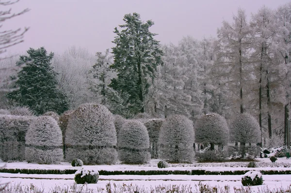 kış bahçesinde çöl