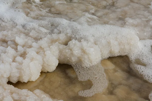 Ölü deniz tuzu. İsrail.