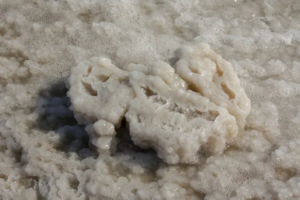 Ölü deniz tuzu. İsrail.