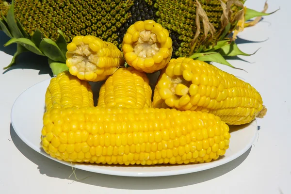 Ears of yellow corn lay on a white plate — Stock Photo, Image